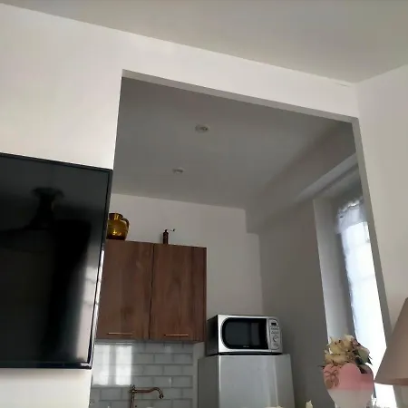 Proche Du Stade Omnisports Et A Pied Du Vichy