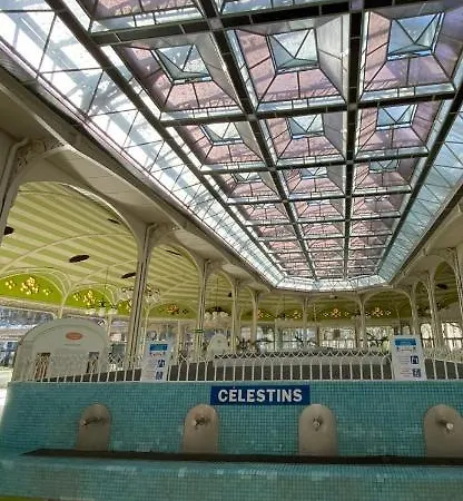 Proche Du Stade Omnisports Et A Pied Du * Vichy