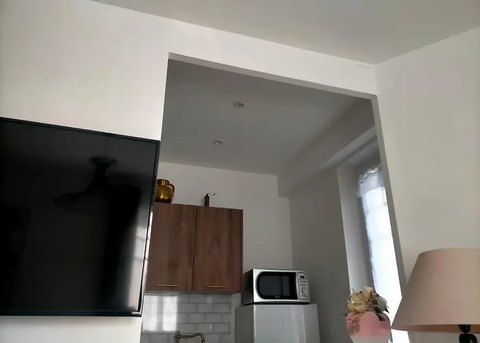 Proche Du Stade Omnisports Et A Pied Du Vichy