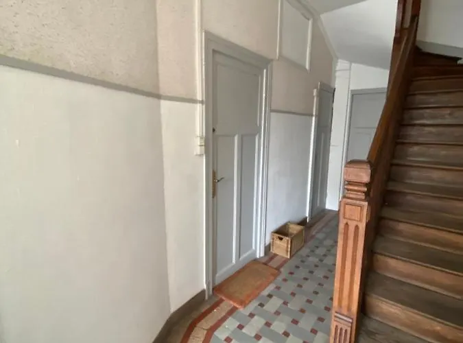 Proche Du Stade Omnisports Et A Pied Du Vichy