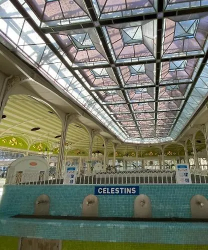 Proche Du Stade Omnisports Et A Pied Du * Vichy