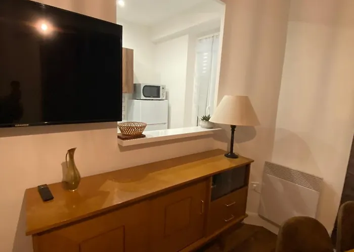 Apartment Proche Du Stade Omnisports Et A Pied Du Vichy